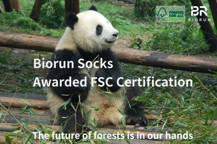 Is Biorun able to produce eco-friendly socks?