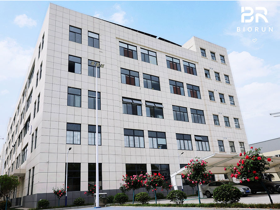 How to OEM/ODM socks?