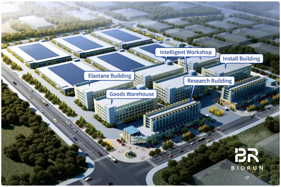 biorunsocks biorunsocks