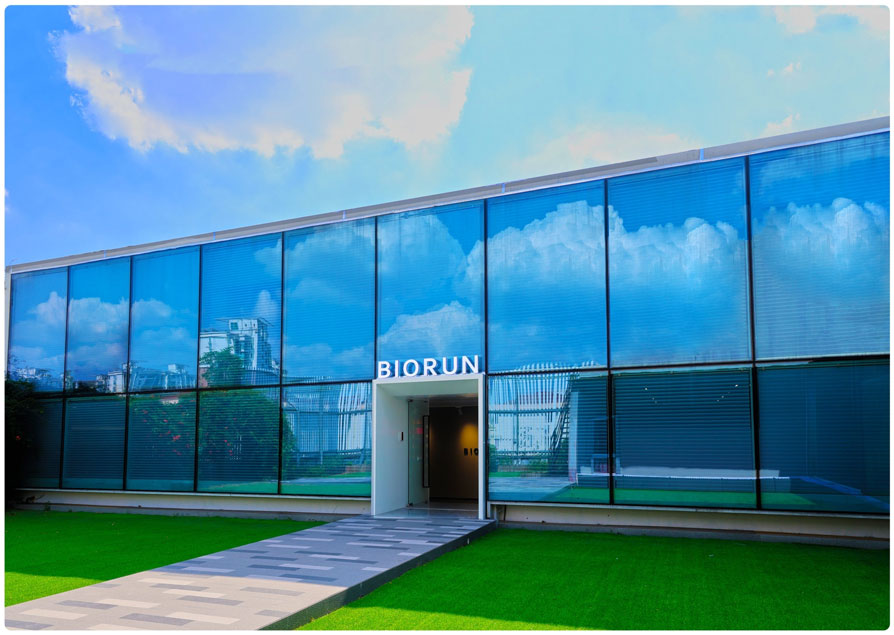 Shanghai Biorun Socks Shanghai Biorun Socks