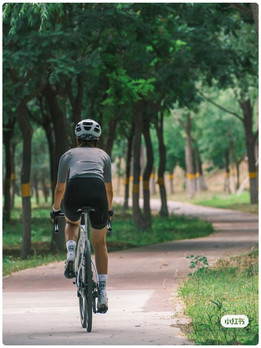 performance bike socks
