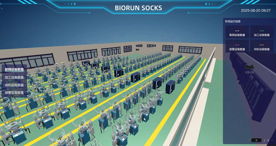 Biorun Socks Biorun Socks